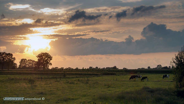 charles van campenhout  http://campenhout1.jimdo.com